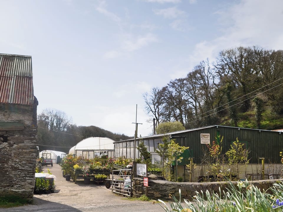 on-site plant nursery | Fordbrook Cottage, Brixton Torr