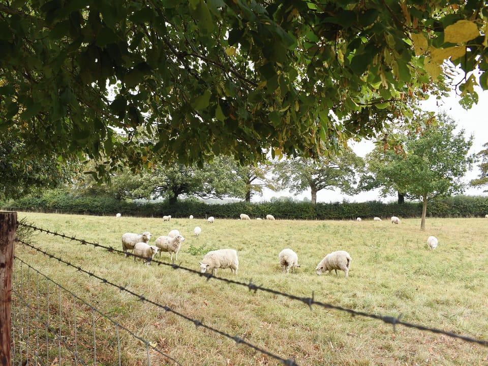 One of the many open fields surrounding the property | The Granary, Oxborough