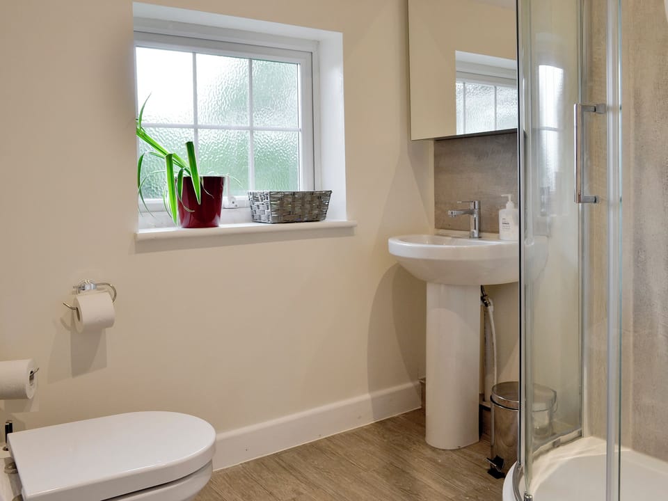 Spacious shower room | Ty Newydd y Graig, Tremeirchion, near St. Asaph