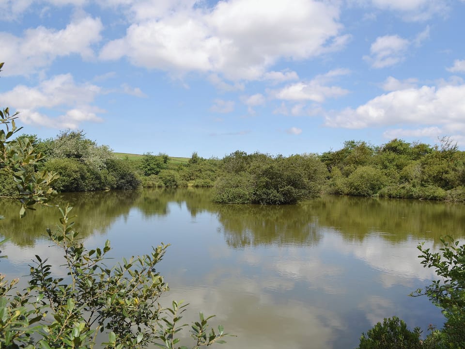 Garden and grounds | Little Owl Lodge, St Columb, nr. Padstow