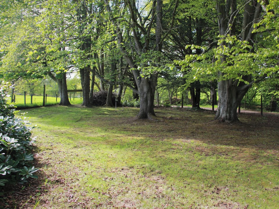 Wooded garden area | Foresters Cottage, Tarbat, Invergordon