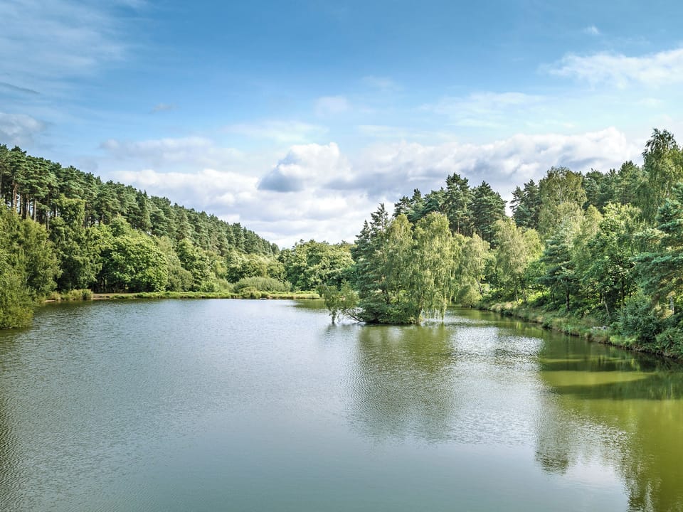 Cannock Chase
