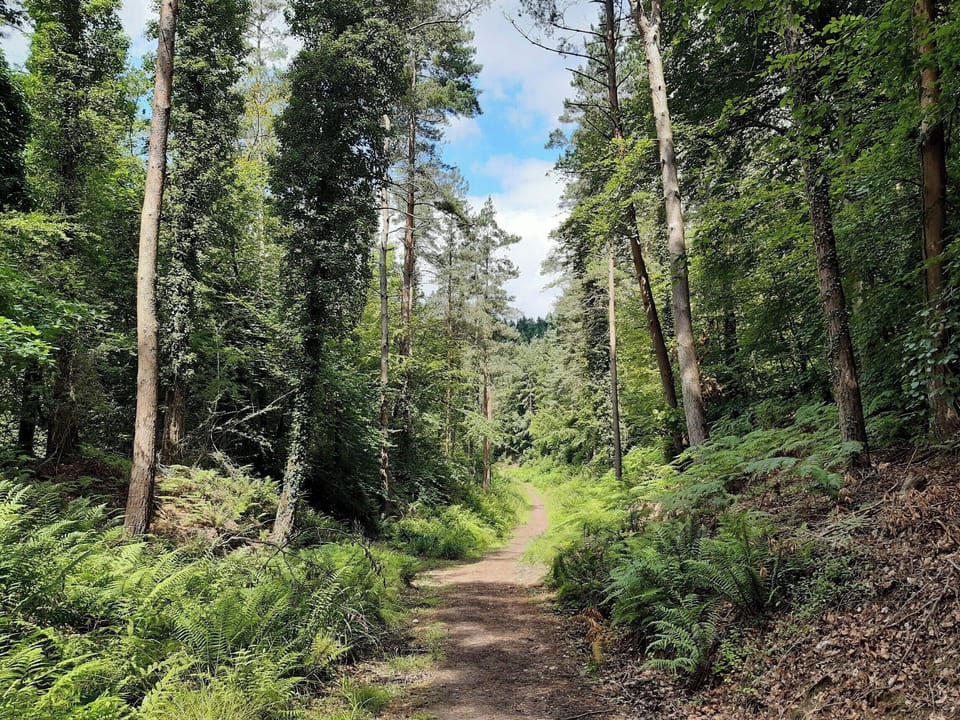 Surrounding area | The Briars, Lydbrook, Forest of Dean
