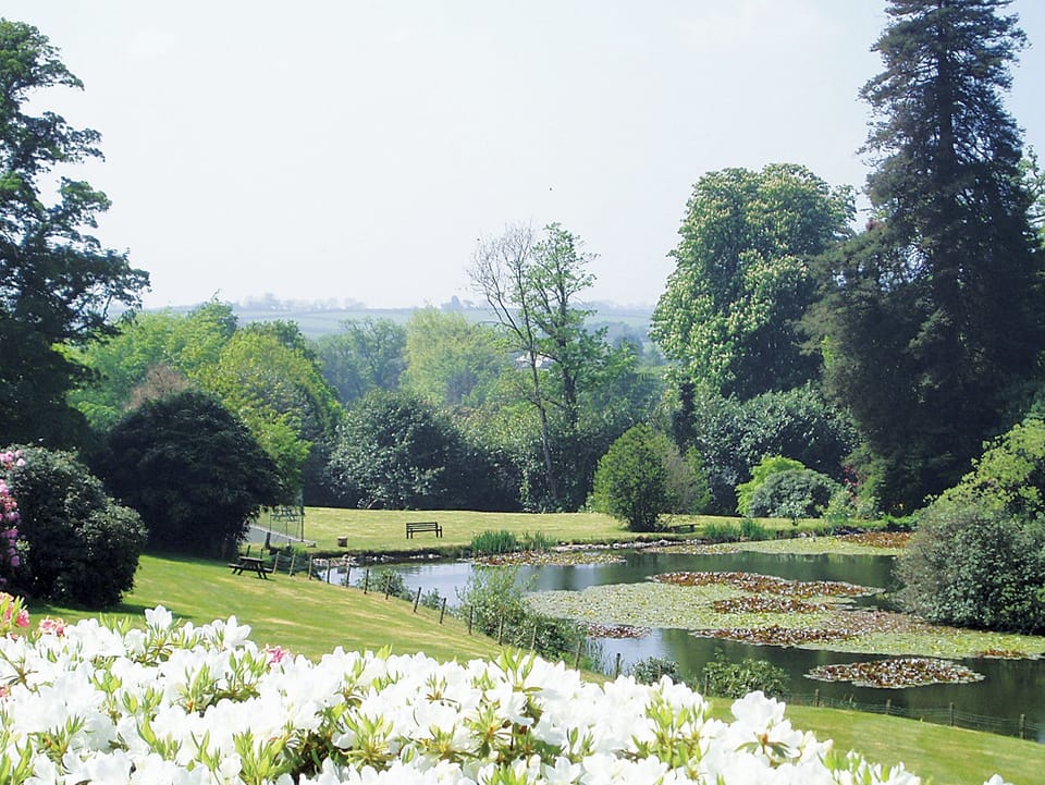 Lake | Rosecraddoc Manor, Nr. Liskeard