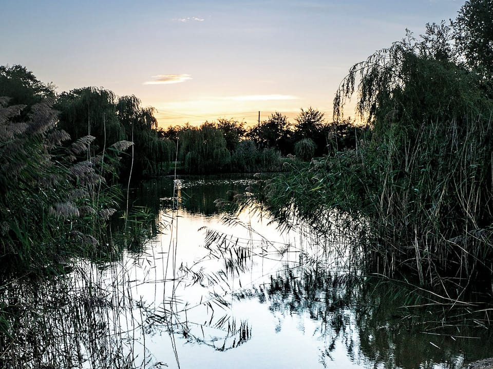 Garden and grounds | Lake View Lodges, Old Leake, near Boston