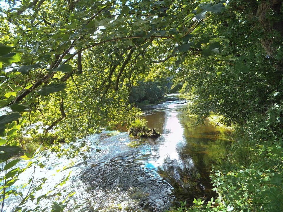 Surrounding area | Burnfoot of Cluden, Holywood, by Dumfries