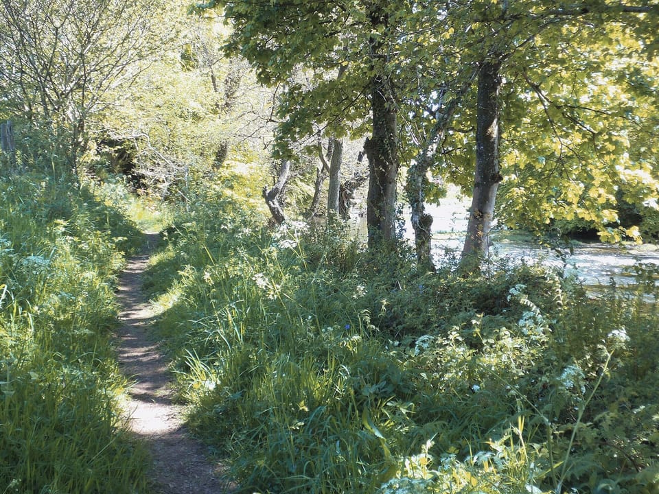 Surrounding area | Burnfoot of Cluden, Holywood, by Dumfries