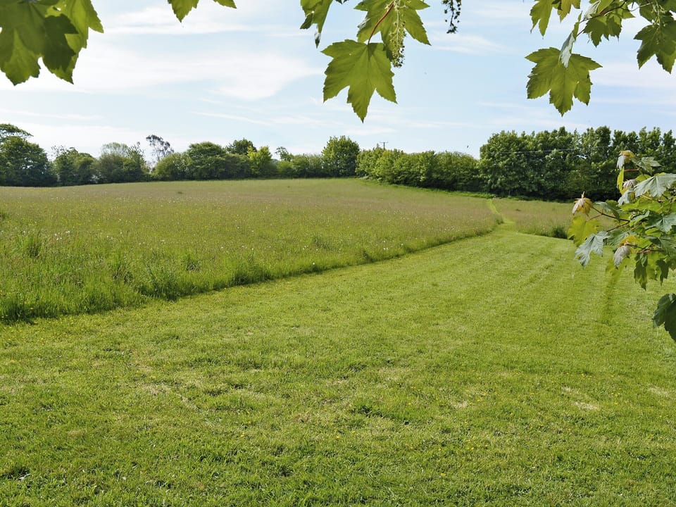 Lovely surrounding area | Stowford Linhay, Stowford, Lewdown