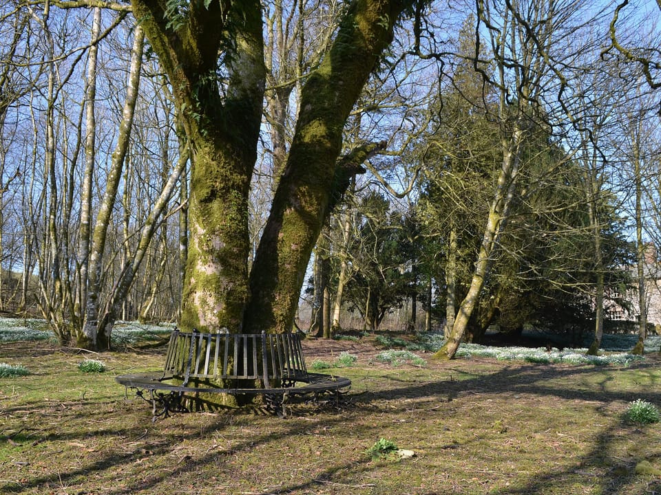 Garden and grounds | The Old Stables, High Ireby
