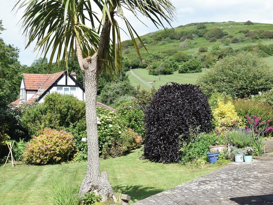 View from front patio | Palm Leas, Ilfracombe
