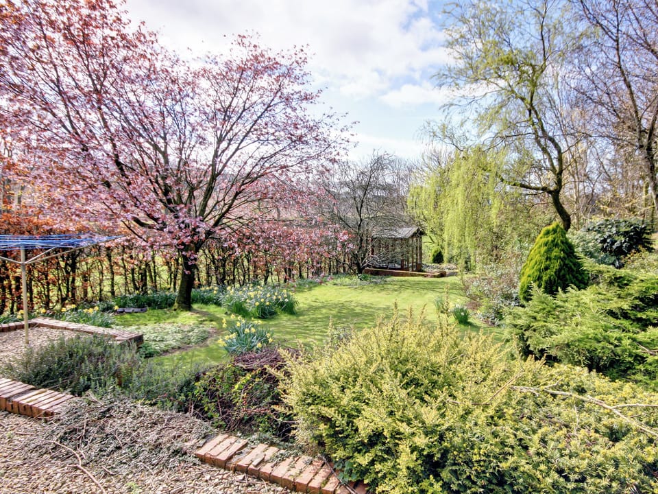 Garden | The Cottage, Girvan