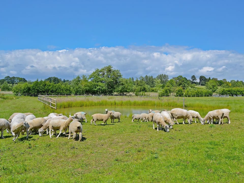 Surrounding area | Lower Marley Farm - Sedlescombe, nr. Battle