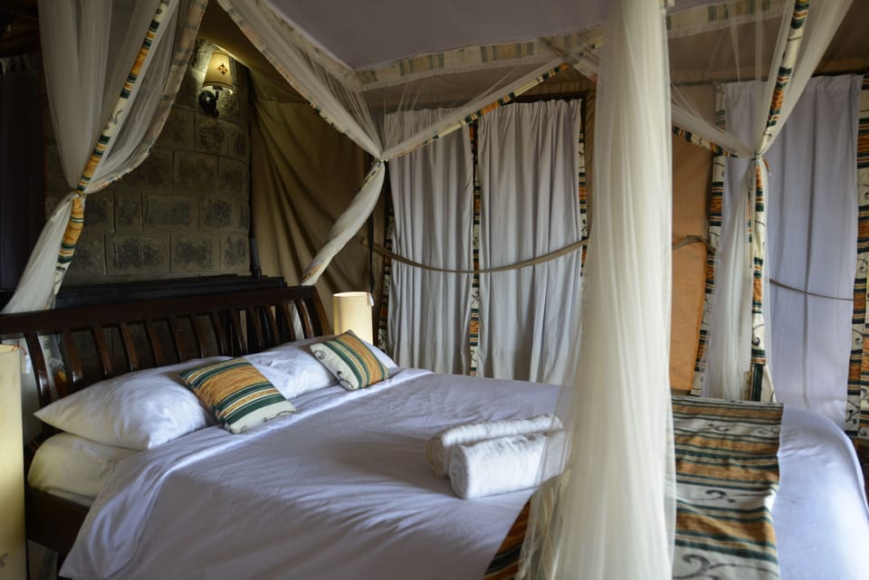 Basic Double or Twin Room | Premium bedding, down comforters, individually decorated