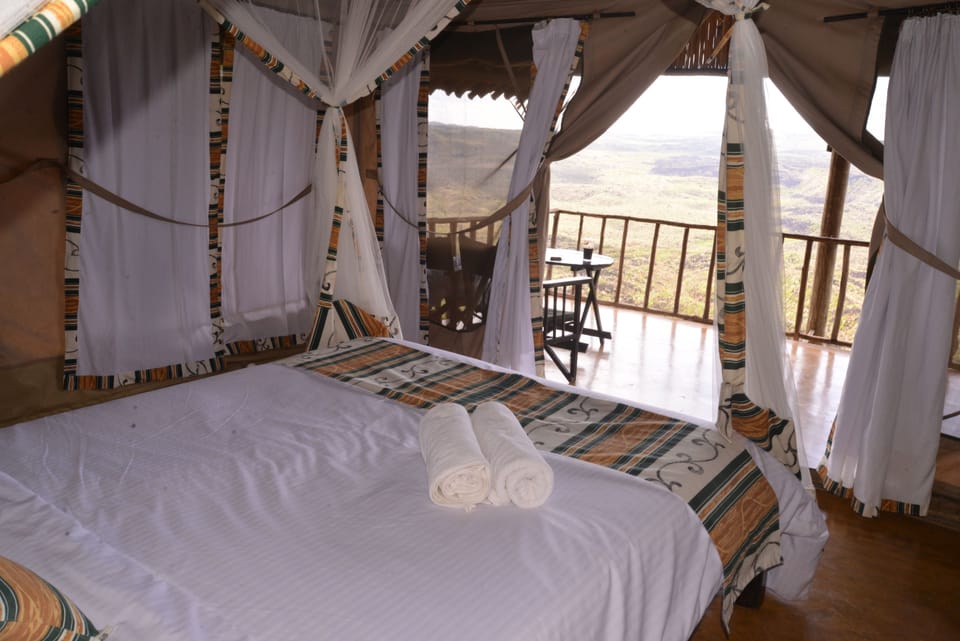 Basic Double or Twin Room | Premium bedding, down comforters, individually decorated