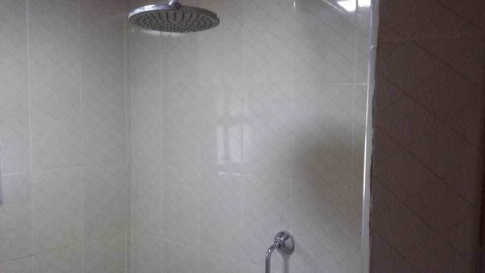 Shower, towels, toilet paper