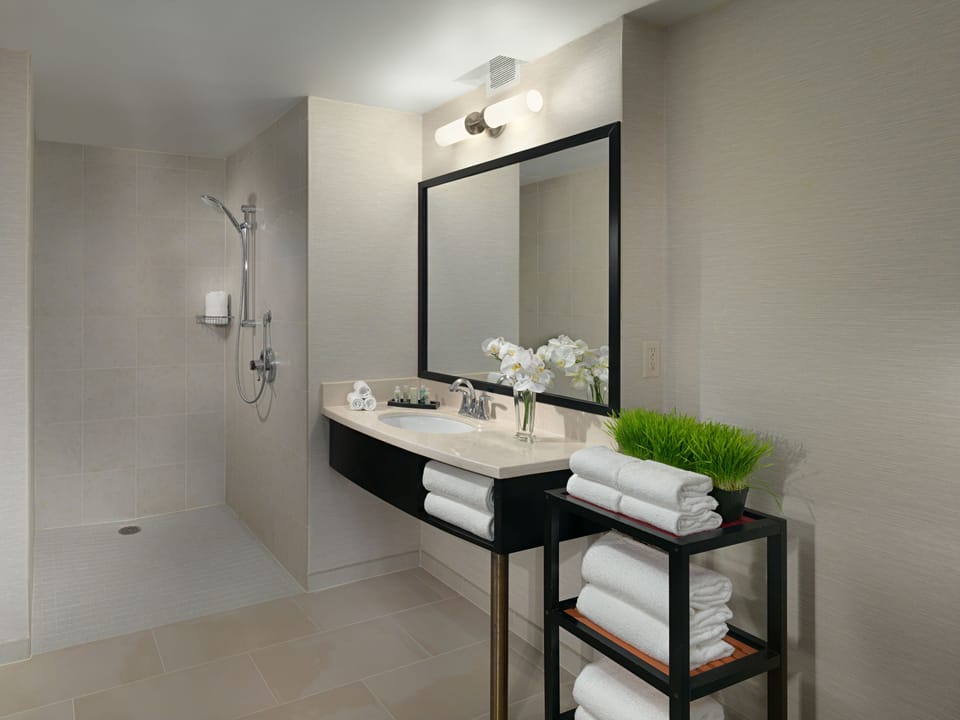 Combined shower/tub, free toiletries, hair dryer, towels