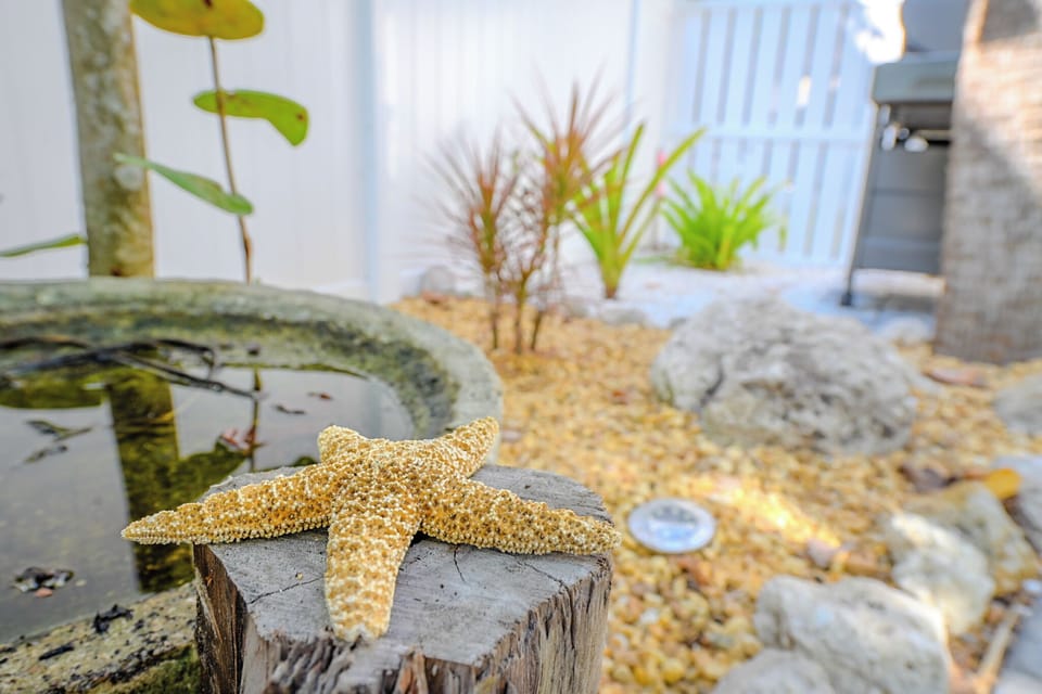 PERSONAL ACCENTS & TROPICAL GARDENS ENHANCE OUR BEACH HOUSE VIBE