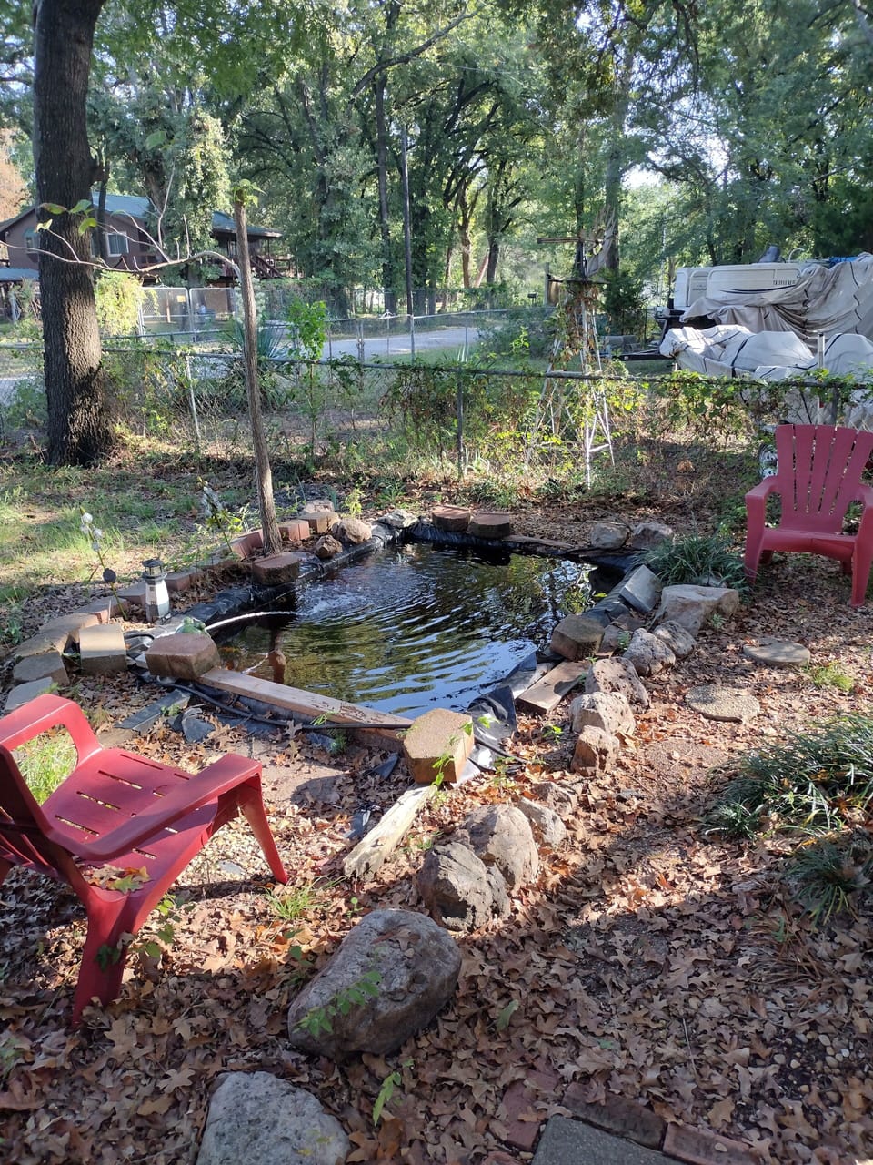 Enjoy goldfish pond while drinking coffee in the morning.