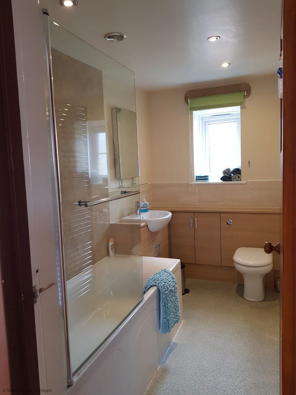 Shower over the bath