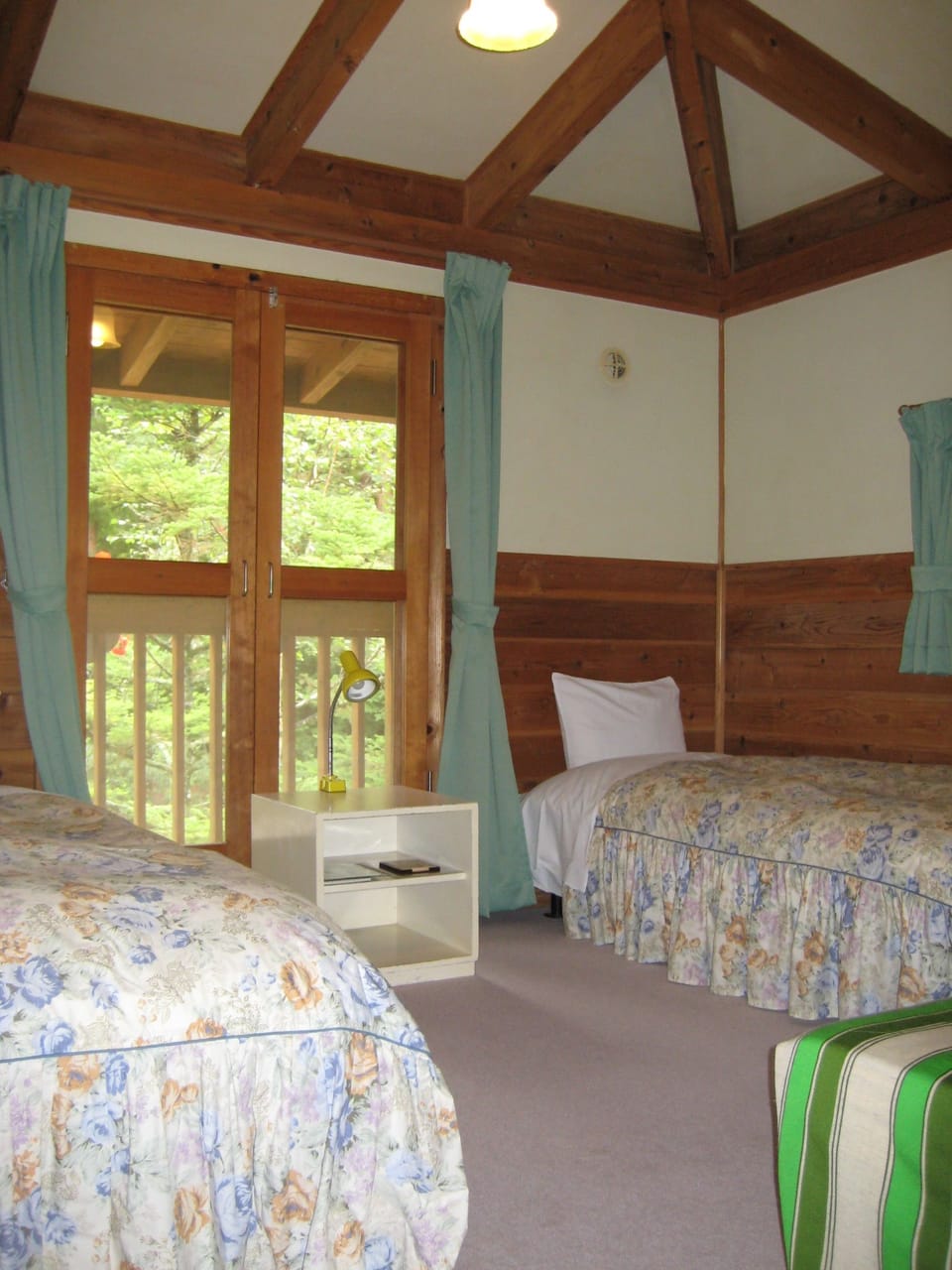 Premium Room, Private Bathroom | Down comforters, blackout drapes, rollaway beds