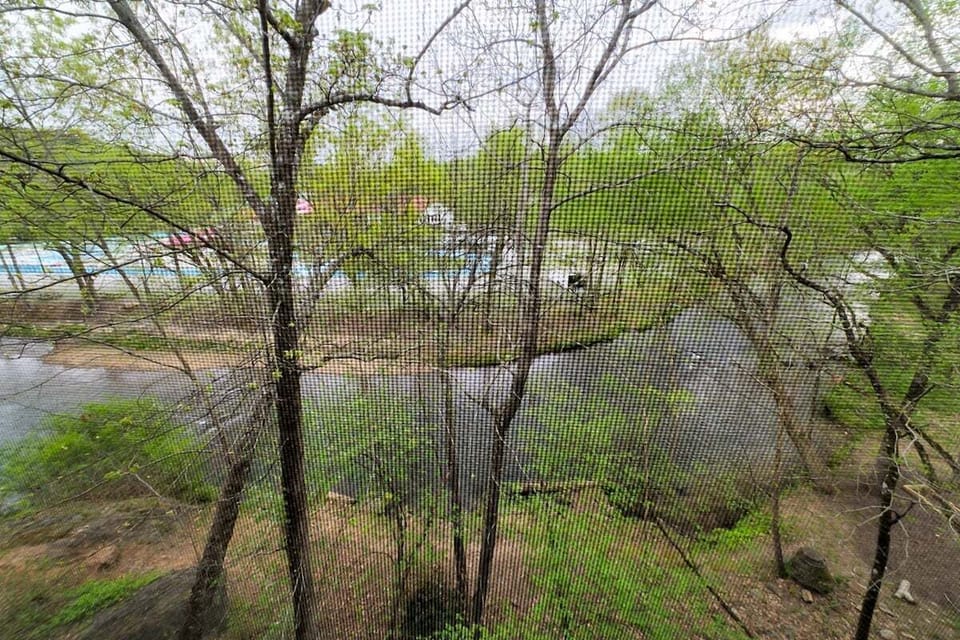 View from Master Bedroom Balcony