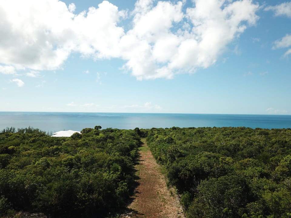 Lotus Lane Ocean View Cottage Cottage in North Eleuthera