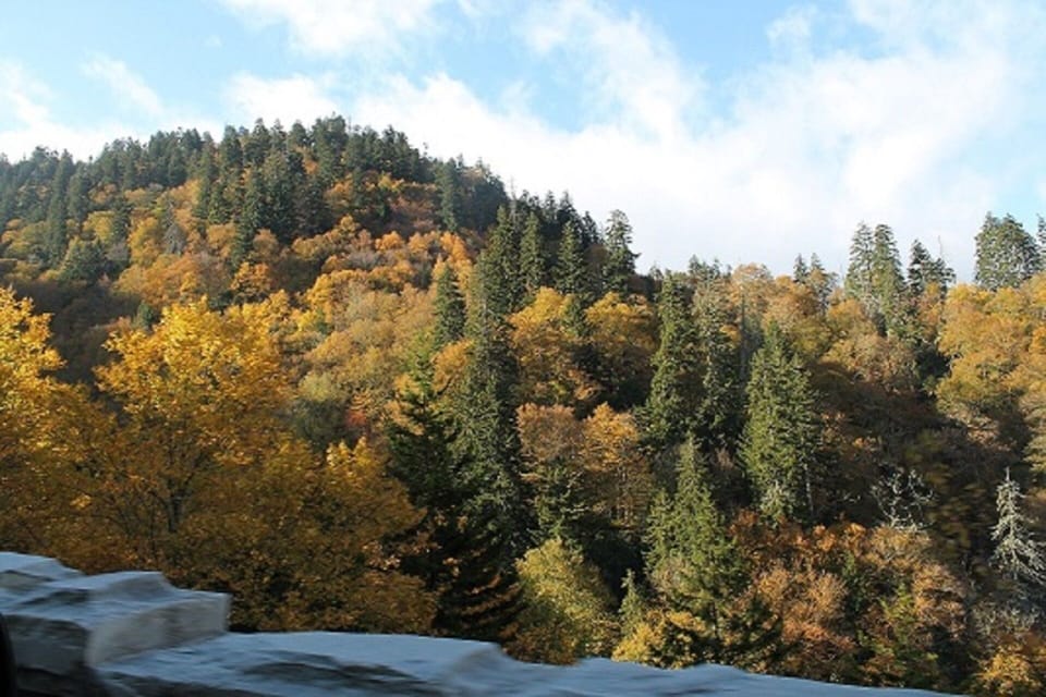 Smoky Mountain Nat'l Park
