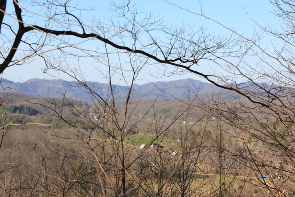 View from front yard