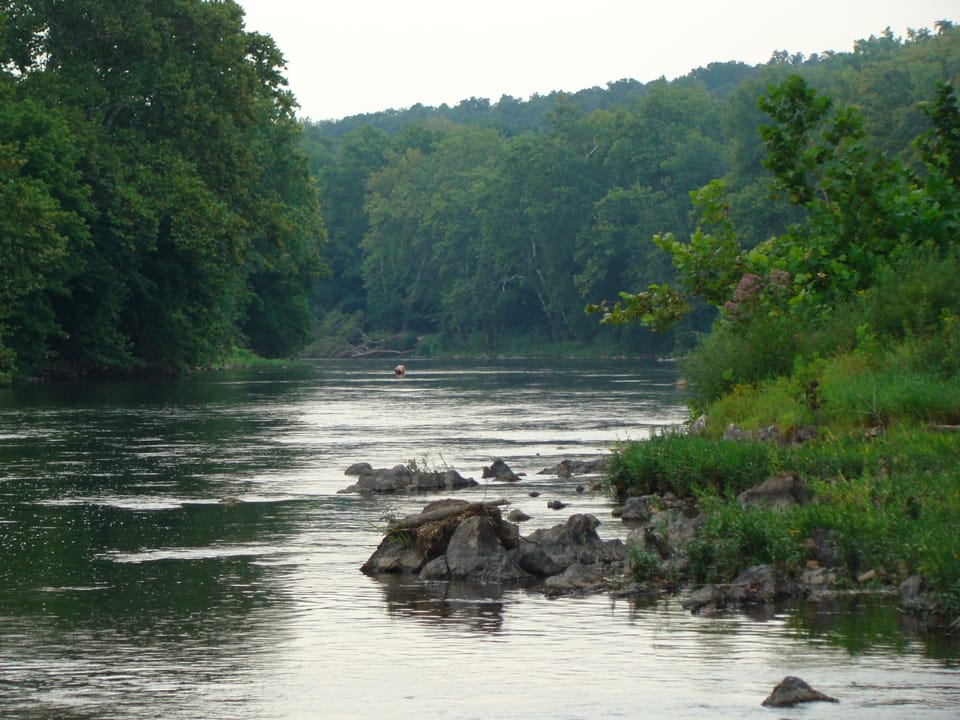 Shenandoah River - only .8 miles from the cabin. Enjoy kayaking and fly fishing.