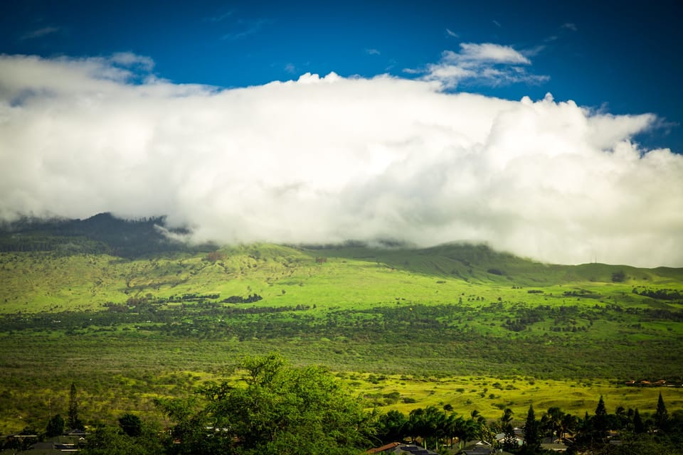View to the east outside the front door.