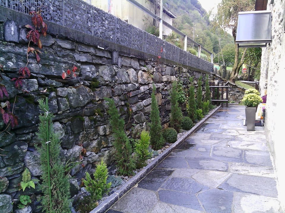 Garden at Entrance Door