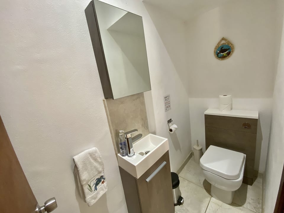 Downstairs water closet.