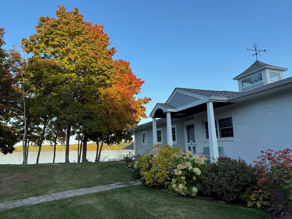 Fall Colors at Sea Lavender
