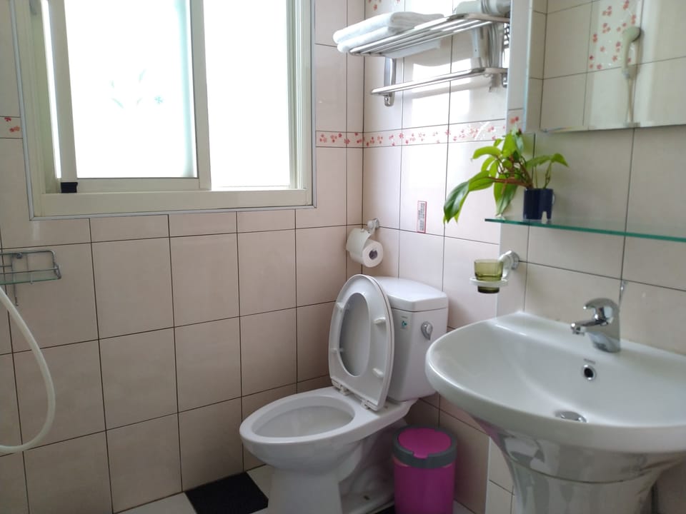 Standard Double Room | Bathroom | Shower, rainfall showerhead, free toiletries, hair dryer