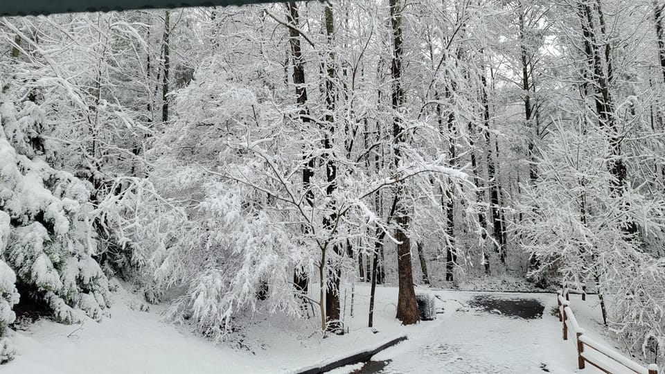 Winter dusting - Front yard in Jan 2023