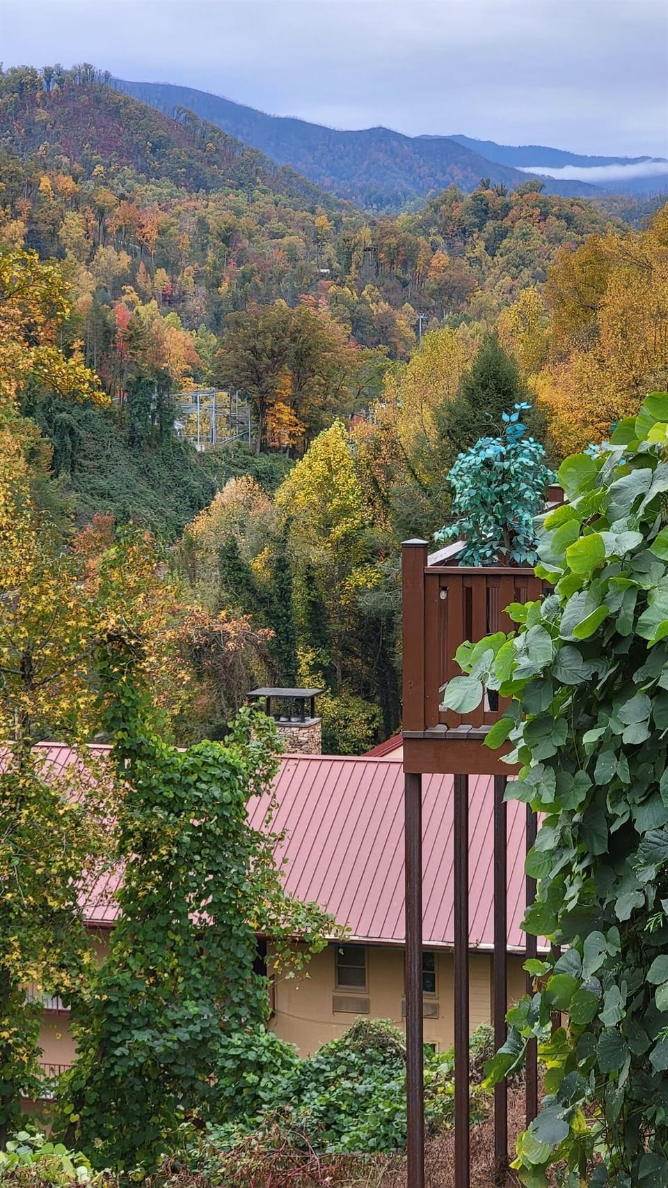 Another fall view from property