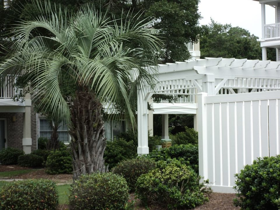 View from living room