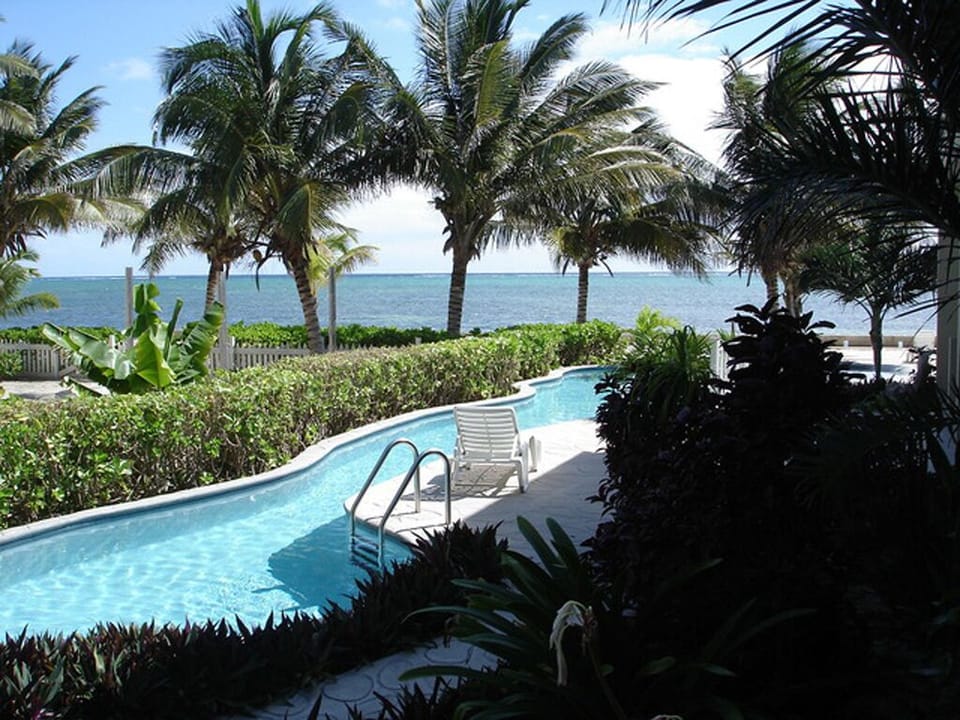 Patio view