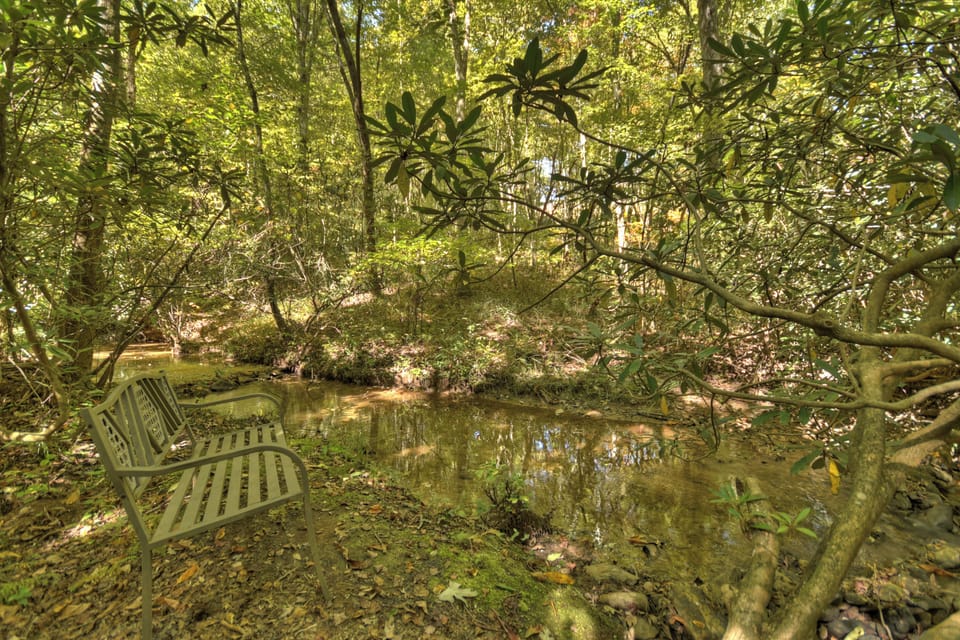 Adirondack chairs by the creek