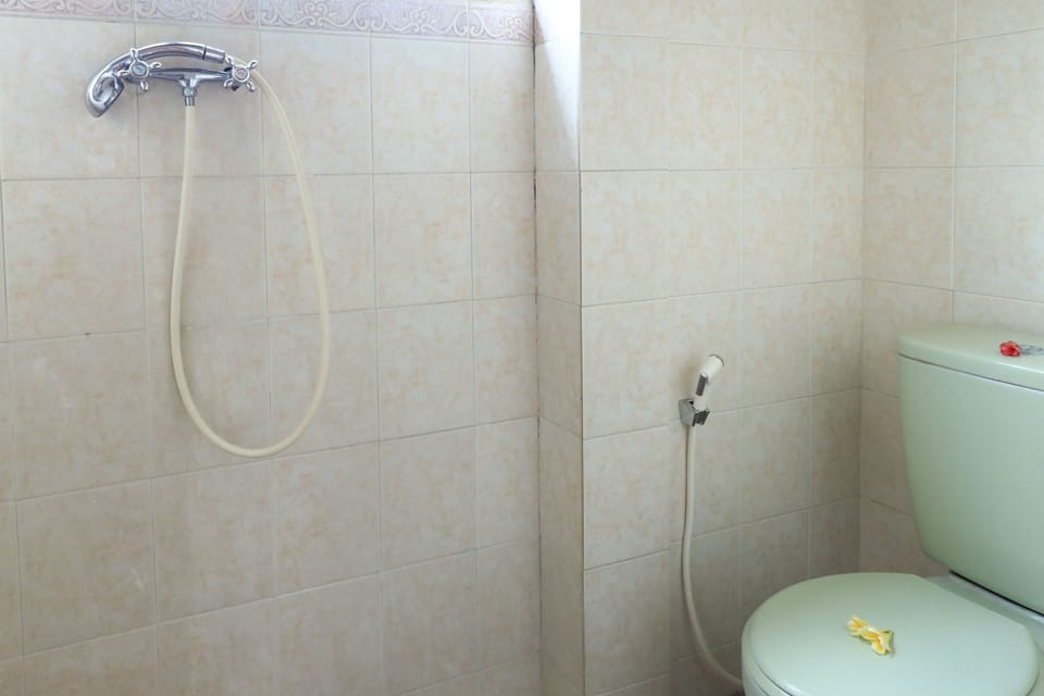 Deluxe Room | Bathroom | Shower, towels