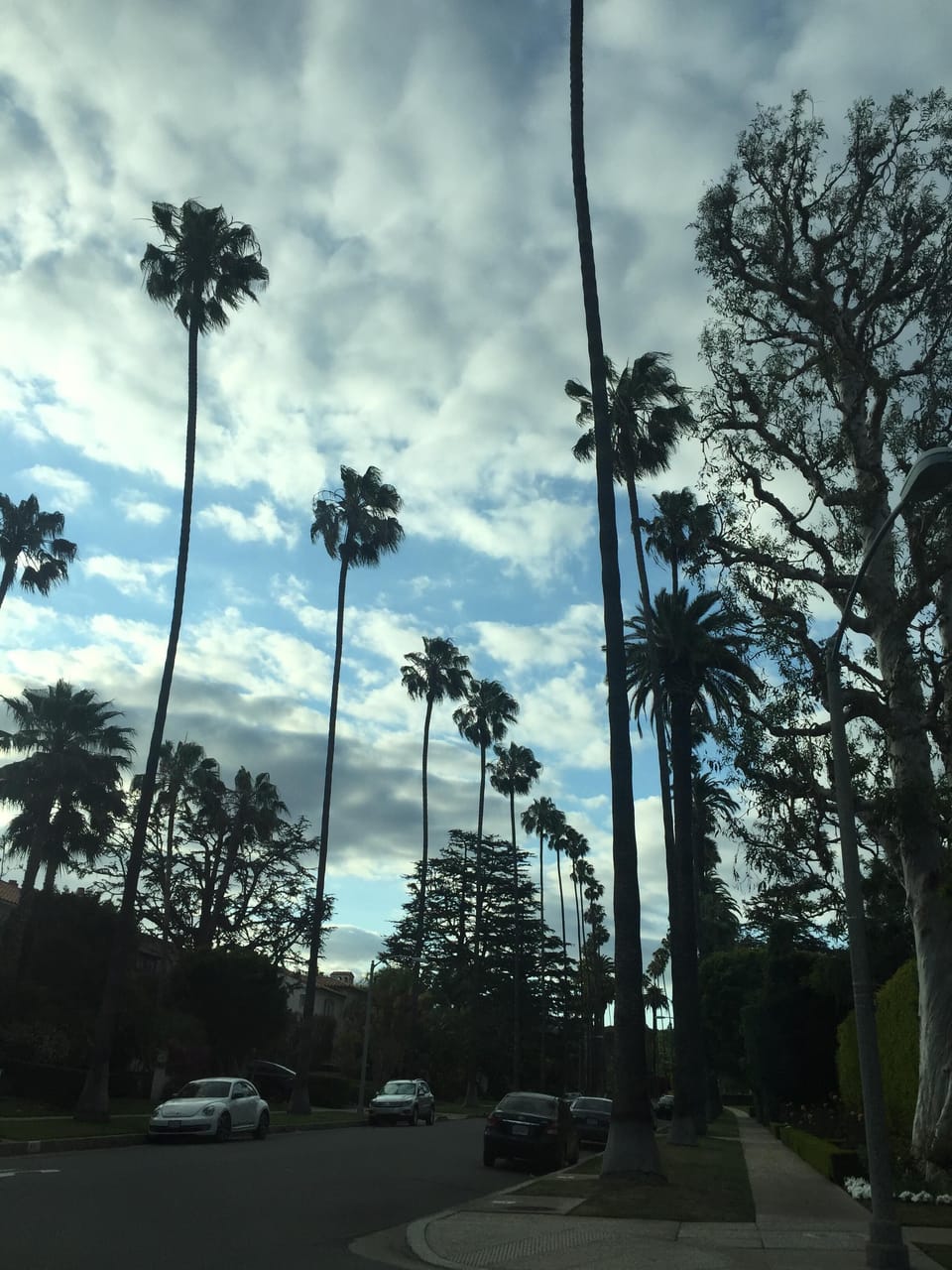 Beverly Hills beautiful streets