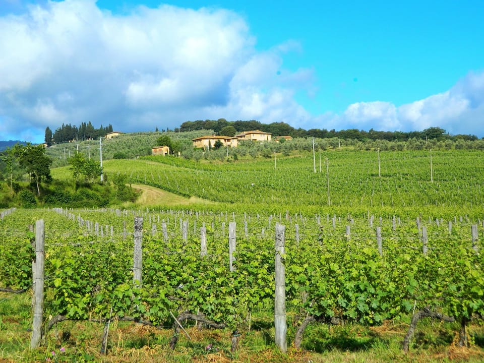Petrolo farmhouses immersd in our vineyards