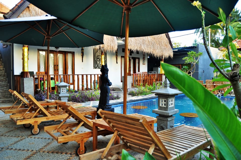 Outdoor pool, sun loungers