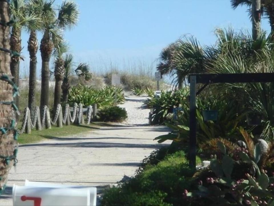 Barefoot Walk to Beach