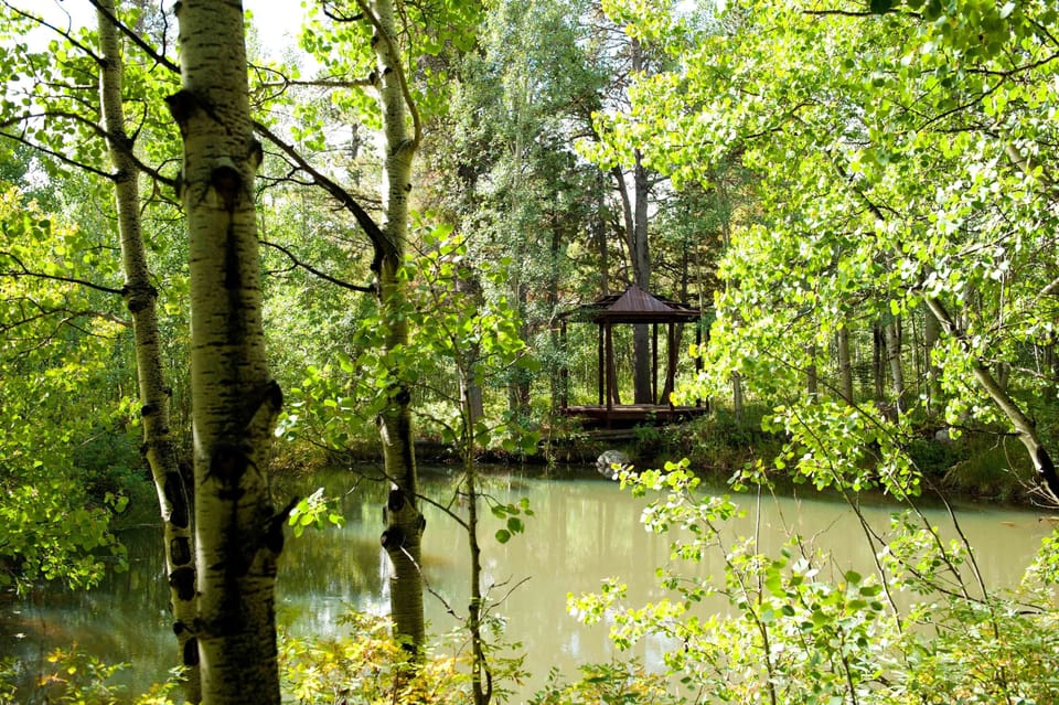 Pond and gazebo.