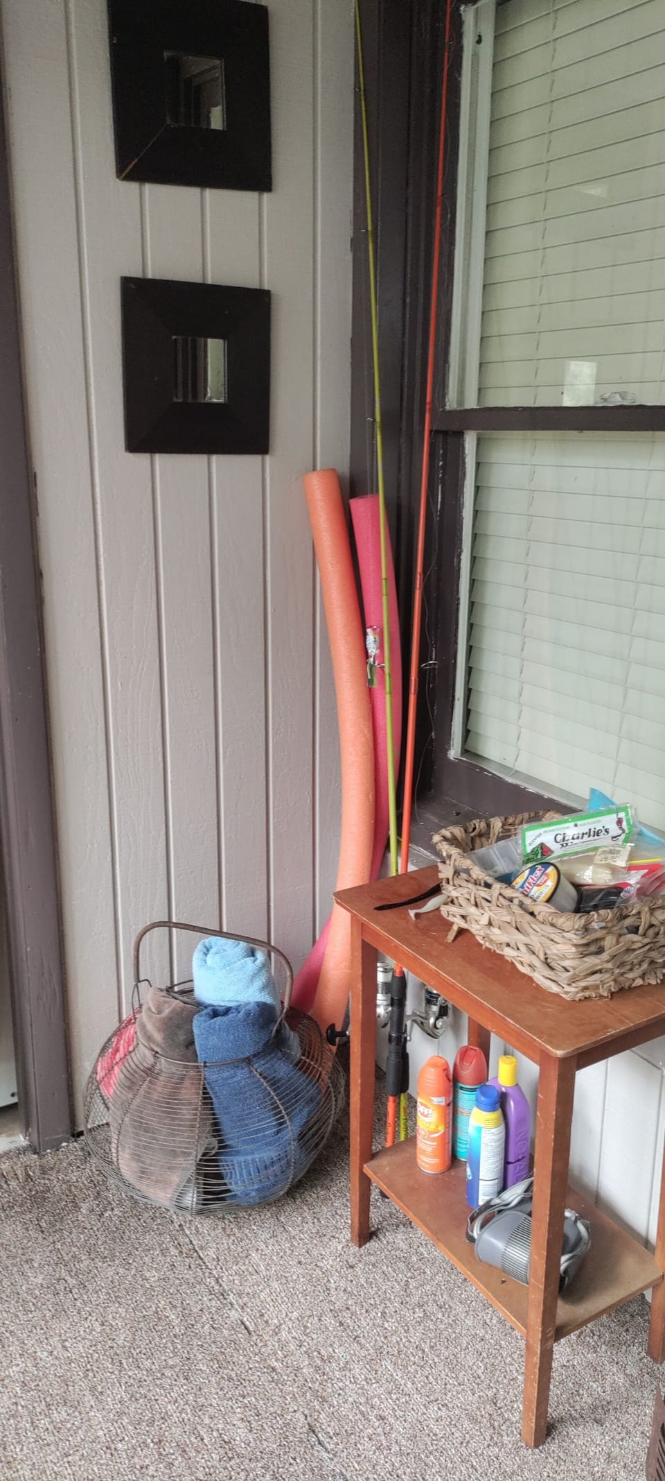 Fishing poles, beach/lake towels and sunscreen/bug spray