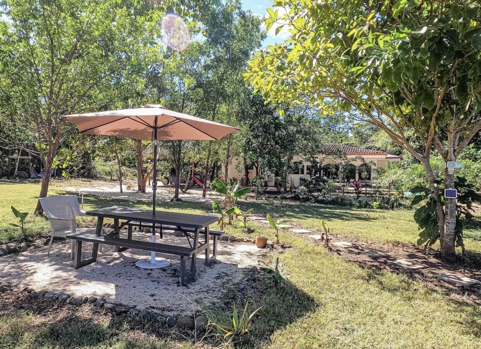 Big yard to relax surrounded by nature