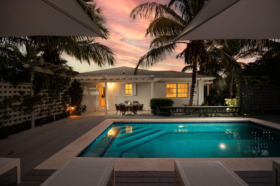 One Palm at dusk