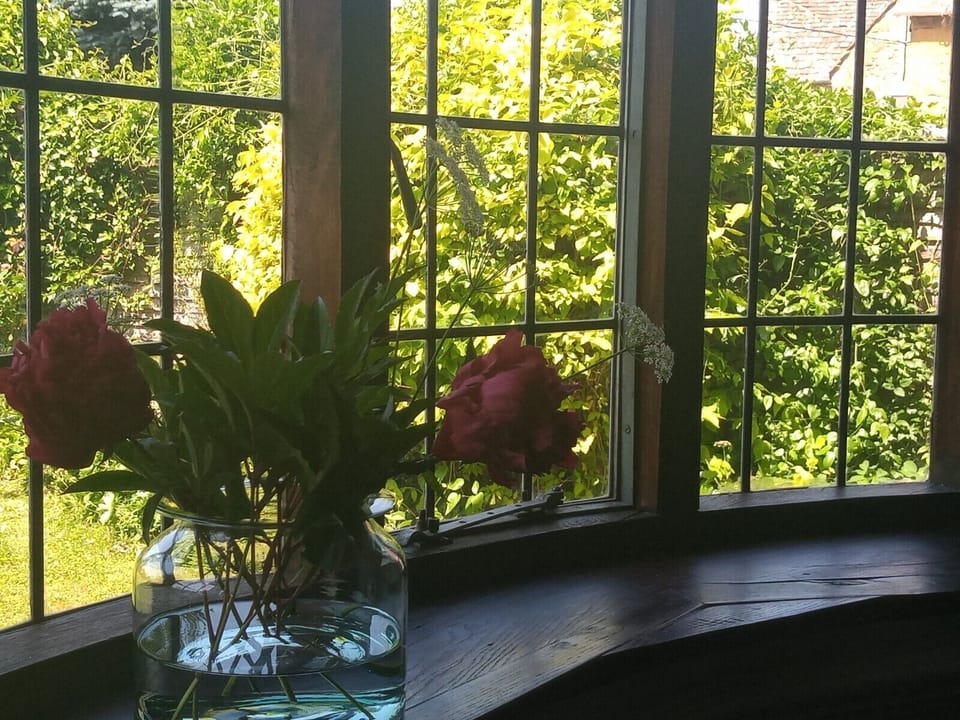 Peonies from the garden in Summer