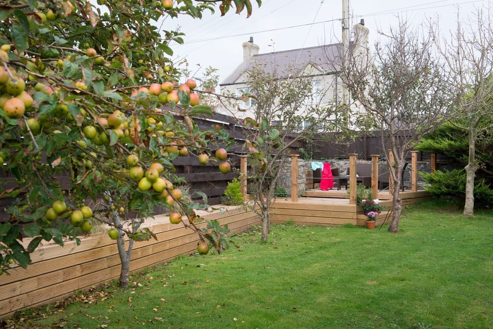 Rhonwil - Rear garden